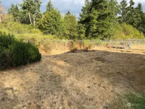 Huge back yard almost completely fenced.