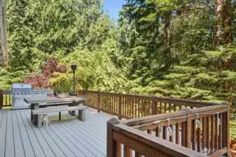 Whether you’re hosting a summer party, enjoying crisp autumn nights, or sipping coffee on a quiet morning, this outdoor oasis is designed to be used year-round. View of the deck; feels like a treehouse from several vantage points! New trex like decking material.