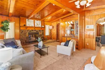 Electric fireplace insert or easily restore back to original wood stove.