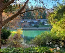 water views from back deck