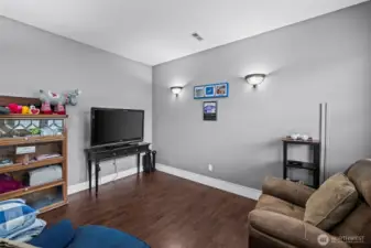 Theater room off of main family room