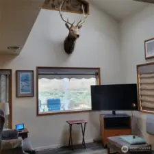 Large living room area.