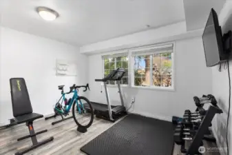 Lower level bedroom 2