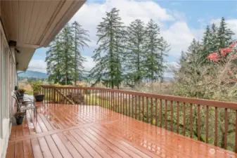 Large, beautiful Deck can be accessed from LR, Dining/Family Room, or up the stairs from side yard!