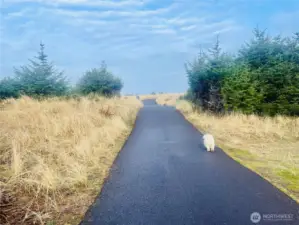 The famous Discovery trail