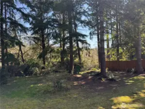 beautiful peaceful fully fenced back yard