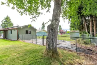 Closer view of the fenced garden area.
