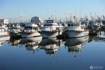 Charming Marina...