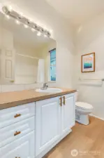 Hall bath with new LVP flooring.