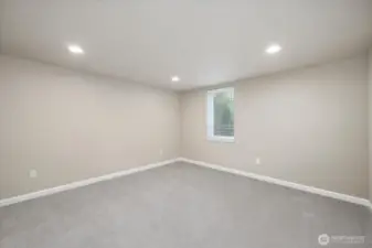Basement bedroom #2 with walk-in closet