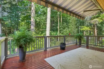 Large covered deck