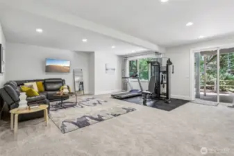 Lower level family room with walk out access to the back yard