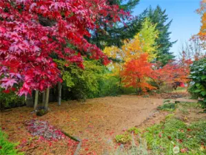 Large back patio/yard