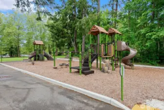 Large neighborhood park and trails