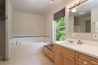 Bathroom off 2nd wing suite