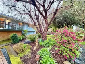 Looking from the OM Home back to the main house