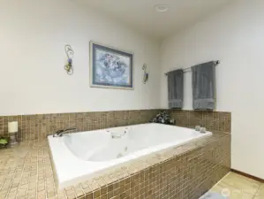 Jacuzzi tub with lights heated.