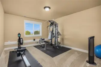 Versatile lower-level flex space, currently used as a home gym.