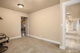 Another flexible space on the lower level, ideal for hobbies, fitness, or additional living needs.