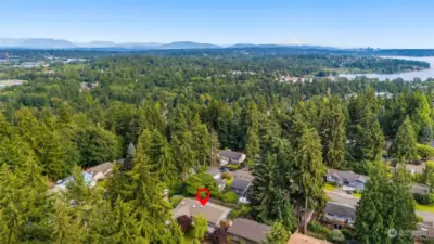 A RARE one-story home in Finn Hill - don't miss this one.