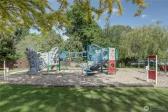 LFP community playground