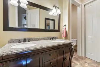 Bathroom downstairs in the lower level.