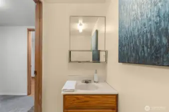 Lower level sink and toilet room.