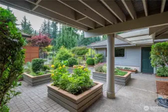 The lovely, well designed patio with a multiple raised beds, a gardeners delight! sprinkler system in place