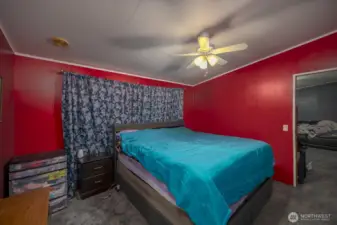 Ceiling Fans + Large windows