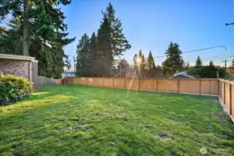 Yard with recently installed fence