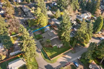 Blue line is approximate east property line.