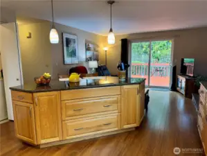 Another picture of island with downdraft ceramic top, electric cooktop, and abundant storage!