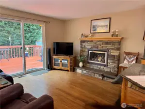 The beautiful family room leads directly to the back yard! Beautiful Bamboo floors!