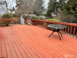 Standing on large deck facing the amazing yard!