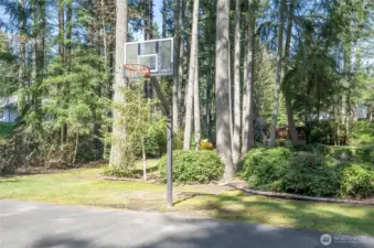 Basketball hoop @ HOA park