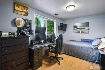 Daylight basement bedroom. There is a 3/4 bath on this level also.