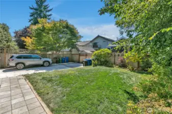 Backyard new sod