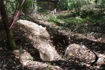 When you tromping around the property, watch out for the perk holes.