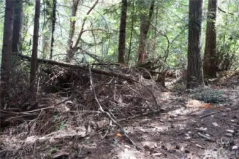 Imagine being able to start. A whole new chapter from the ground up.