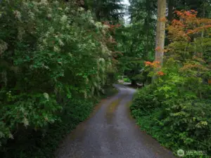 Driveway
