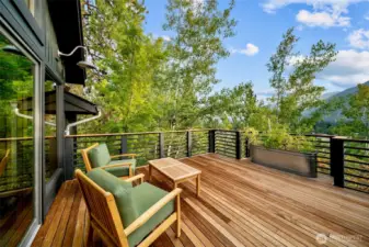 IPE deck off Primary with steel railings