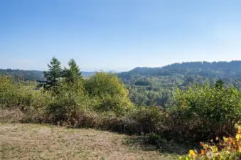 A perfect blend of comfort, style, and Northwest charm. These territorial views are truly stunning. Welcome to where your next chapter begins!