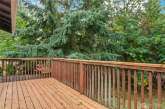 Spacious deck off the main level dining room with stairs to the backyard!