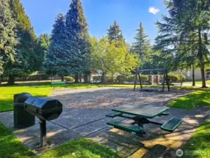 Springwood play area