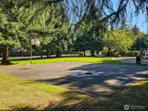 Basketball court