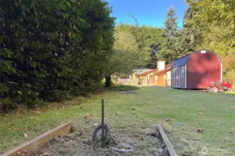 Spacious Yard