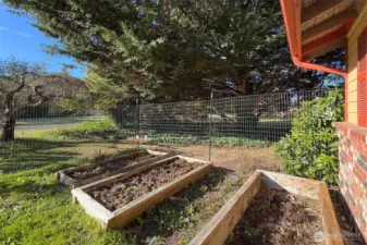 Raised Garden Area