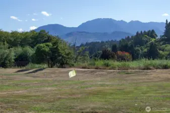 Golf Course