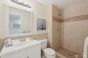 Hall Bathroom - guest bathroom - with floor to ceiling tile shower.