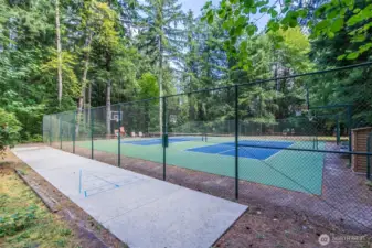 Pickle Ball Courts